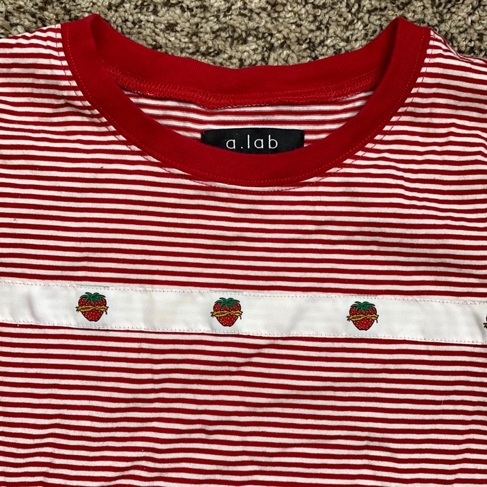 a.lab Strawberry Graphic Tee (purchased from Zumiez) size (S)